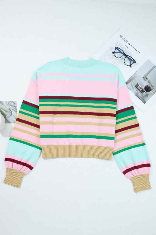 Stripe Ribbed Trim Crewneck Cropped Sweater 0ebfbd48-fb32-482b-b256-958191bf1dd2