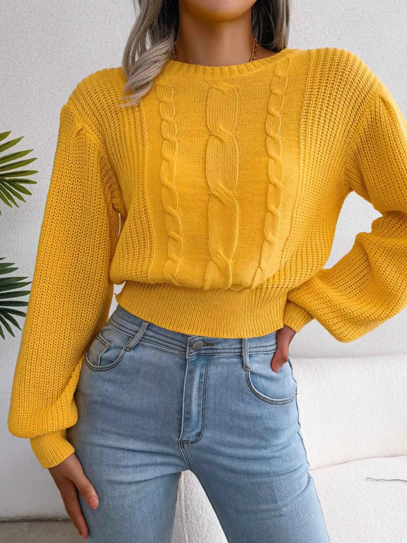 Cable Knit Round Neck Cropped Sweater 11a8c783-117f-4e6b-8b51-5943f0cf4deb-Max-Origin