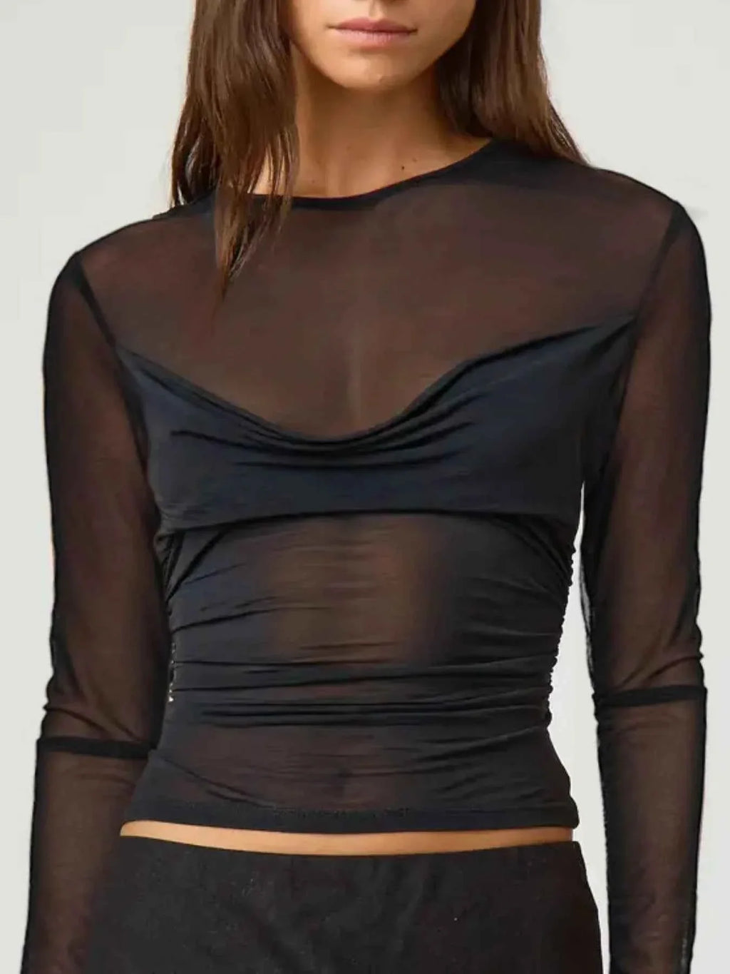 Ruched Mesh Long Sleeve Top 1557cda6-a988-4bf1-b4ee-eb2a51cfb99a-Max-Origin