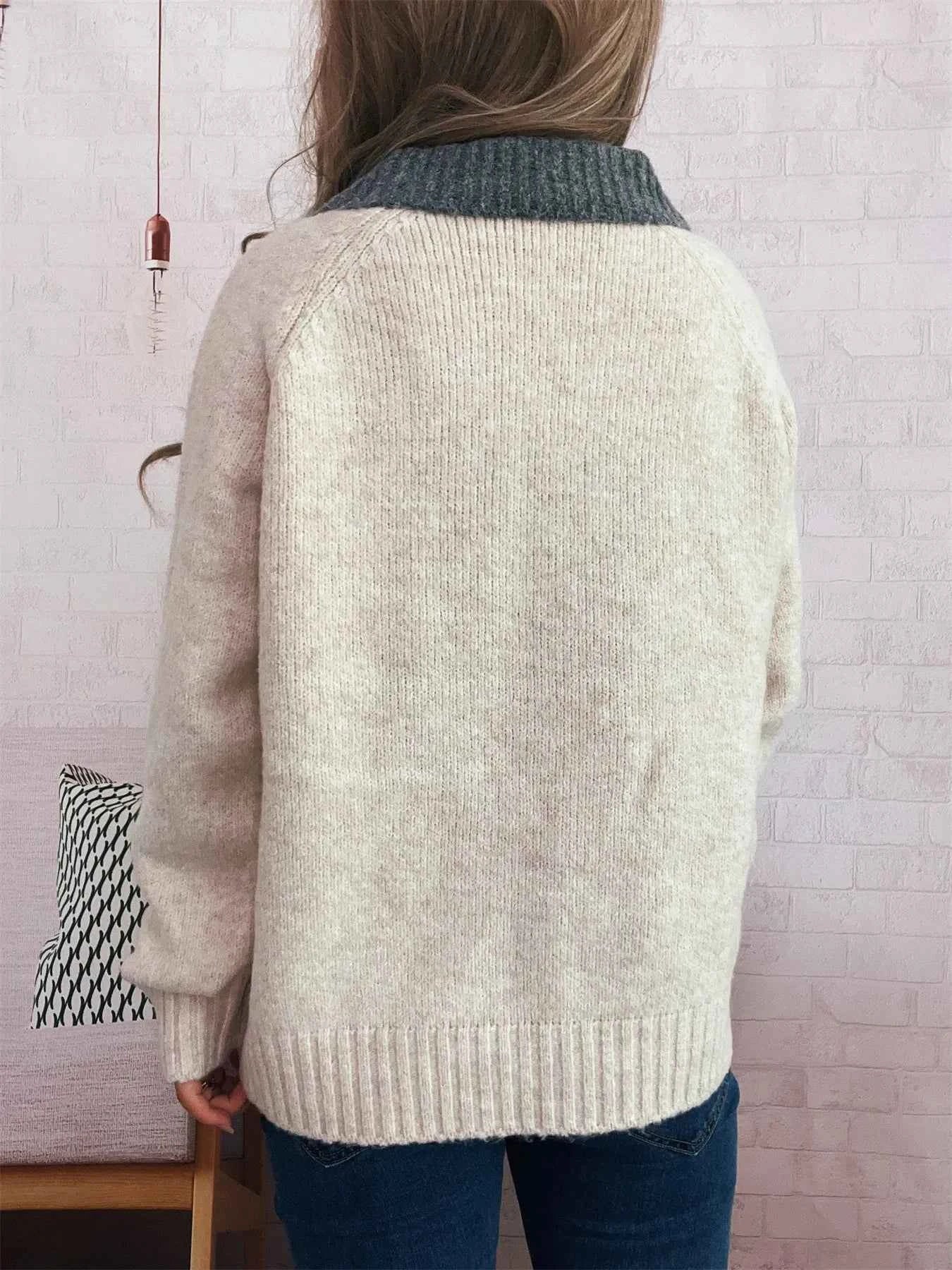 Contrast Collar Zip-Up Cardigan 1f24198e668a41eb91ea12d44f1b0c78-Max-Origin