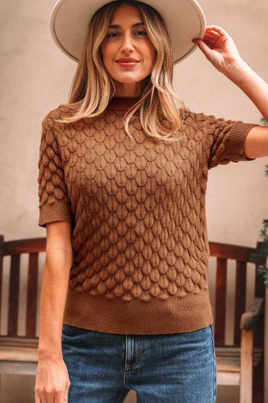 Fish Scale Textured Knit Short Sleeve Sweater 1f7be007-cc1d-4faa-90a0-97e7b97826ac