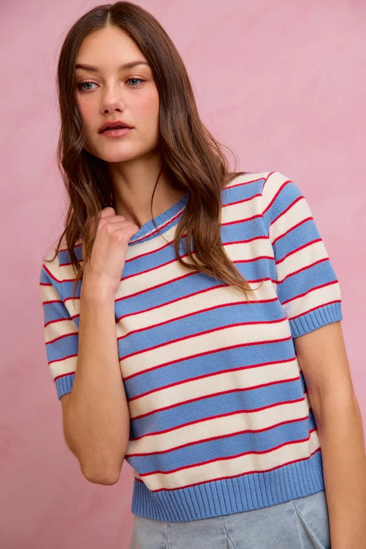 Stripe Knit Crew Neck Short Sleeves Sweater Top 2092fd17-a0cf-4048-aaf3-d4f4003f357b-Max-Origin