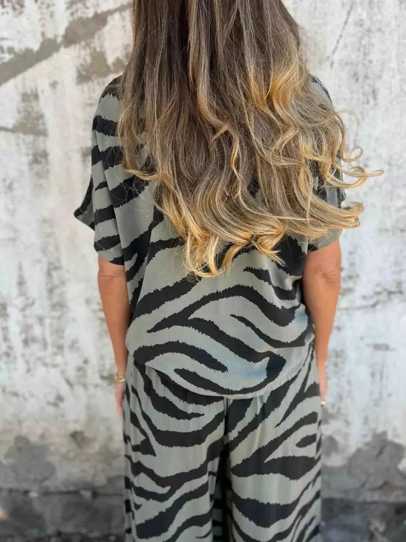 Zebra Print V-Neck Top and Pants Set 23b0c55b-cfe0-4001-9716-6005c8a86158-Max-Origin