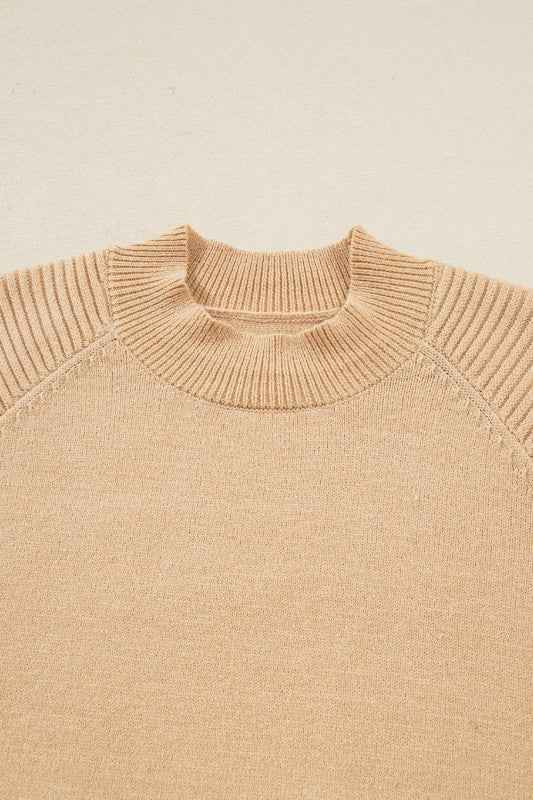 Solid High Neck Sweater and Pleated Mini Skirt Set 2416b8f2-90ee-4b06-9f80-44099db767fc