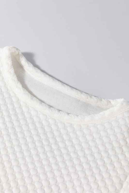 Solid Textured Round Neck Puff Sleeve Blouse 2906264a-8d49-4fe9-98d8-e54013b61a88