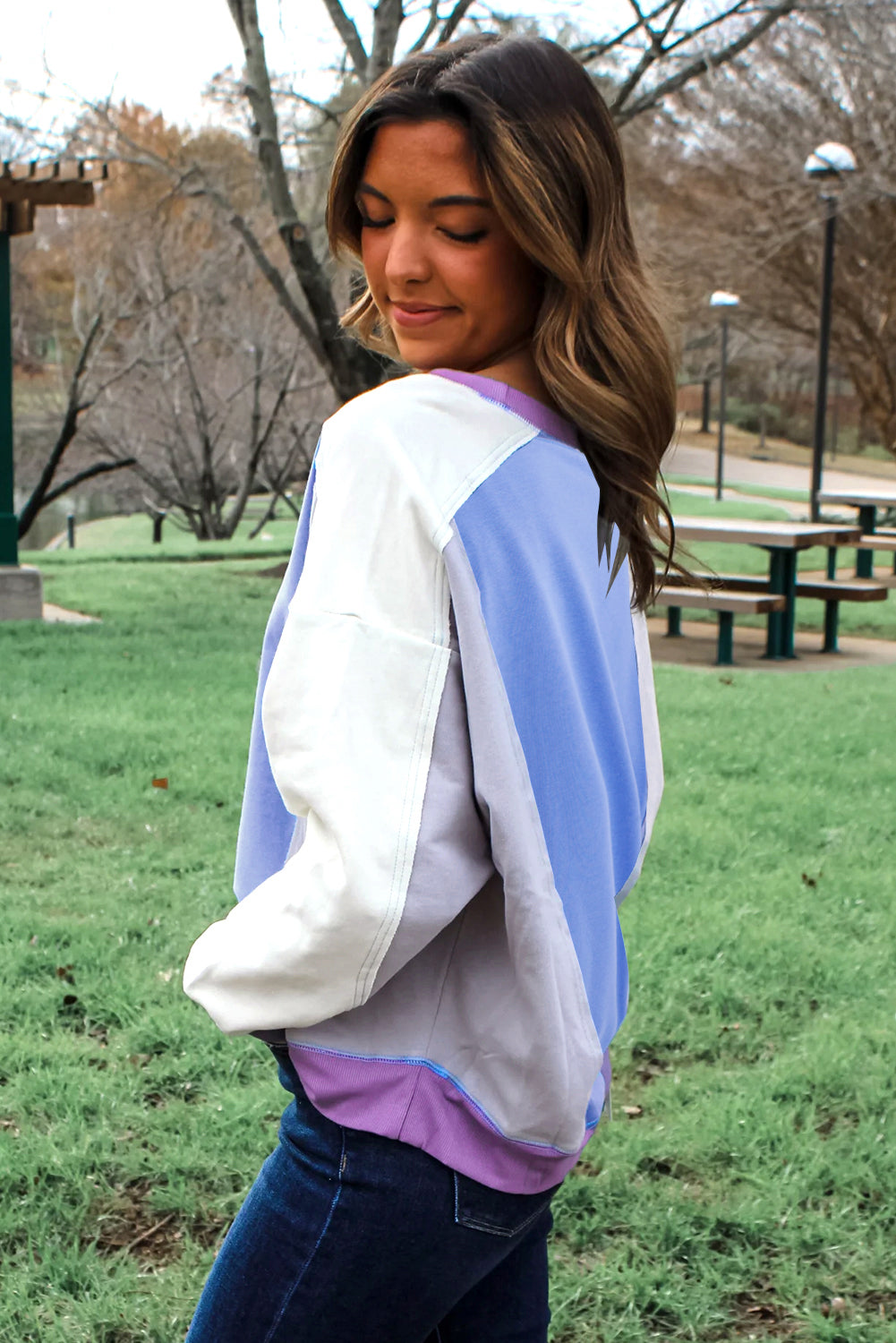 Blue Colorblock Patchwork Round Neck Pullover Sweatshirt 29b22d25e22f6c3c