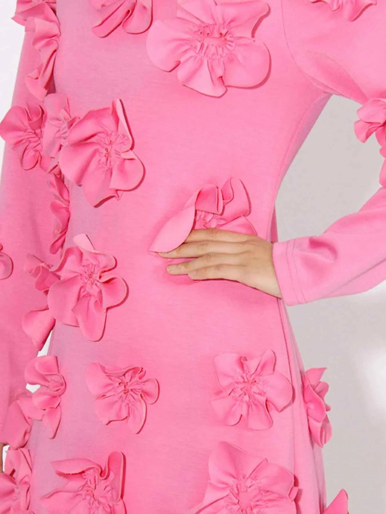 Floral Applique Long Sleeve Maxi Dress 2b275d87-9900-4697-819c-655b5070af74-Max-Origin