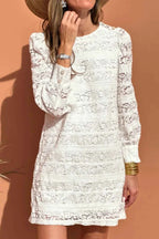 Lace Long Sleeve Mini Dress White 3289391b-29d0-4fdc-af50-420b10282329-Max-Origin