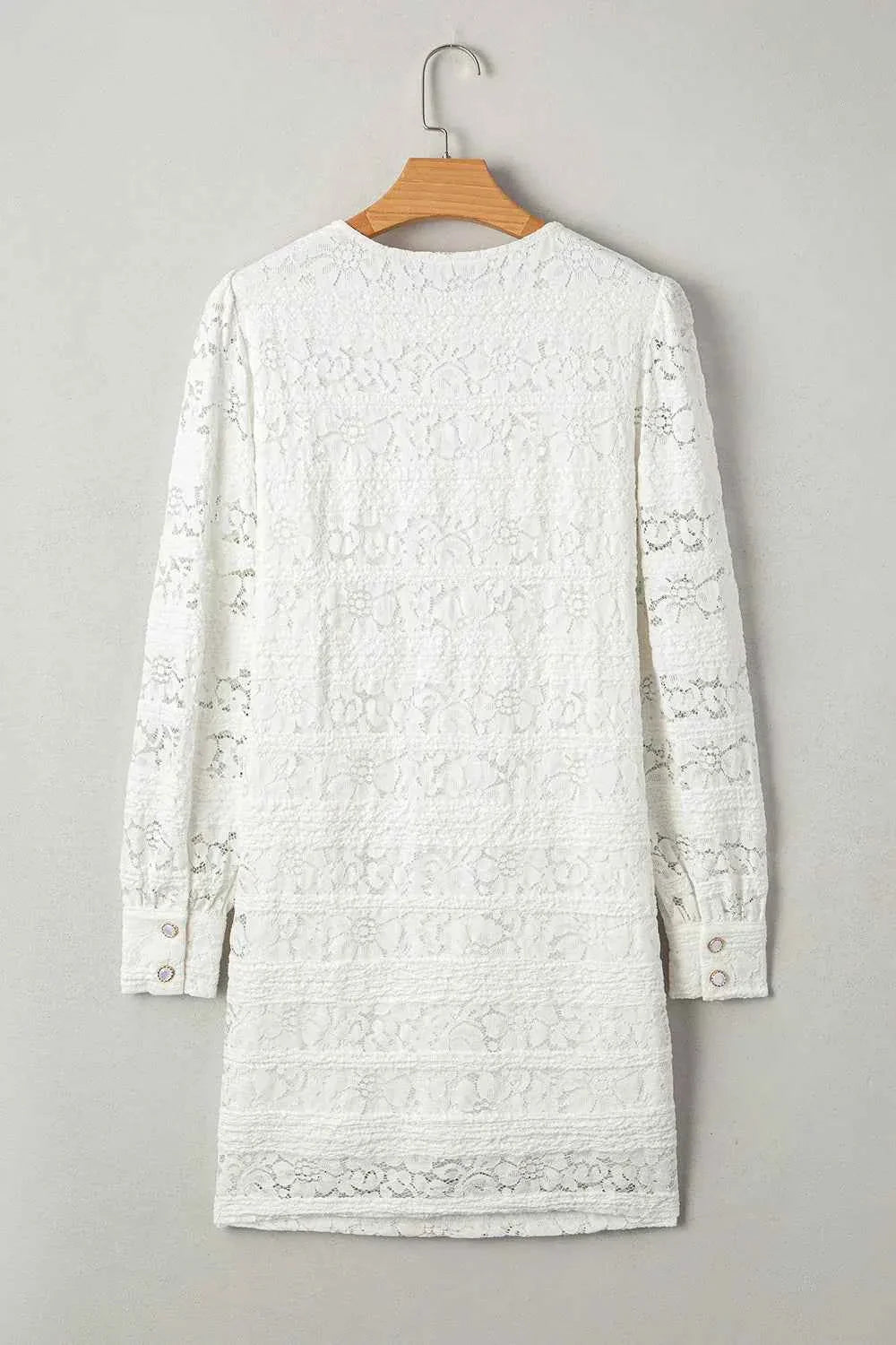 Lace Long Sleeve Mini Dress 39c77c53-309a-42d8-bc9b-5f4728b4e30e-Max-Origin