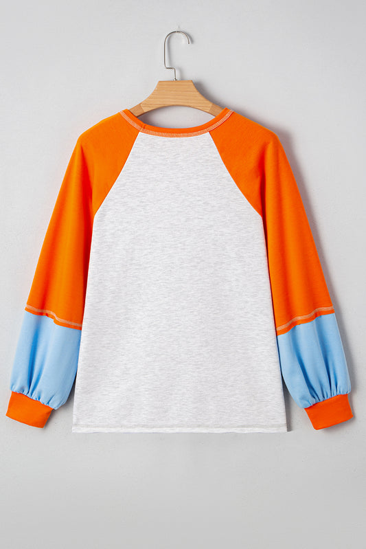 Light Grey Thanksgiving Turkey Graphic Sequins Patch Color Block Raglan Sleeve Top Light Grey 65%Polyester+35%Cotton 42f787317c6d4dc3