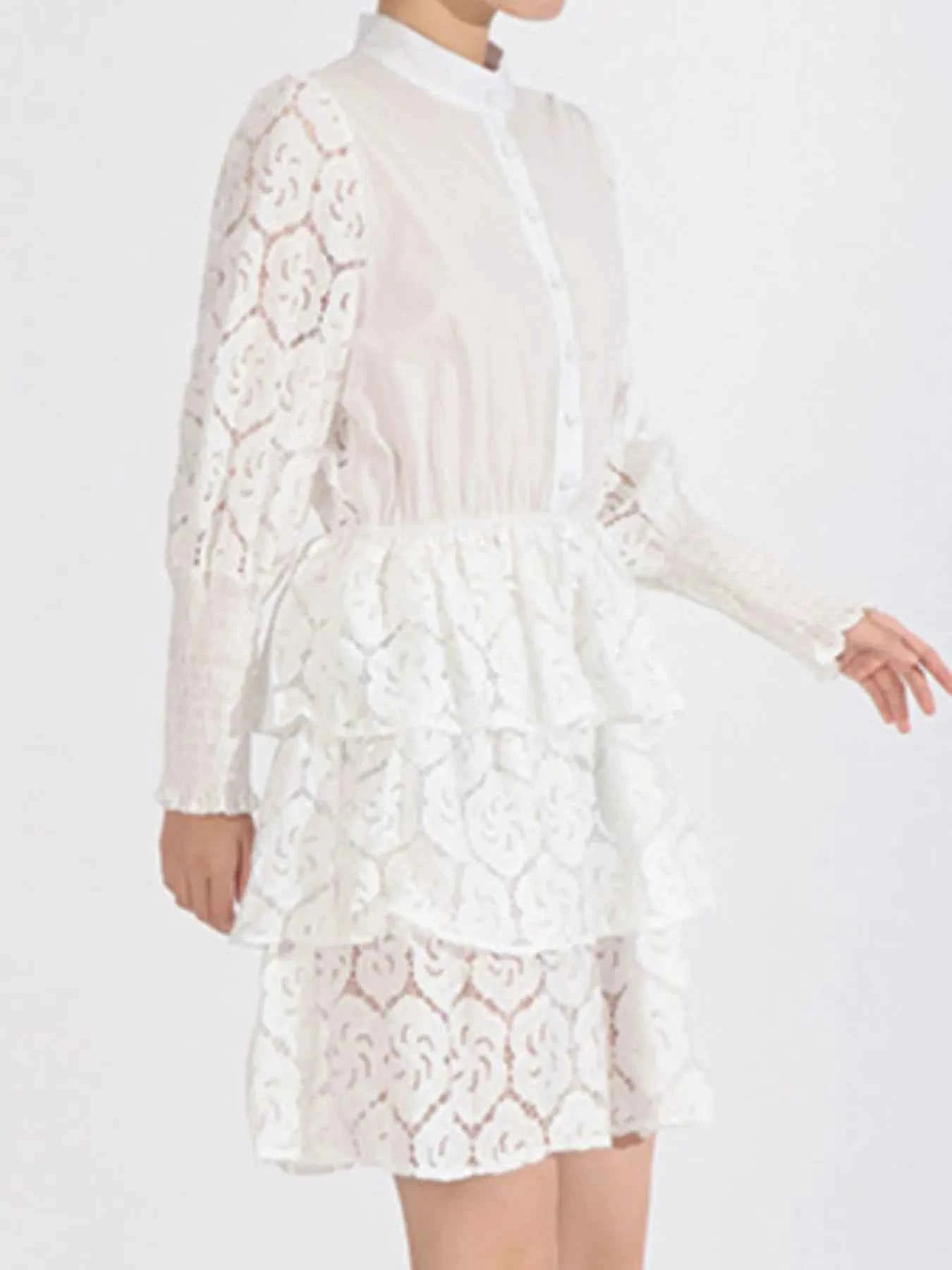 Full Size Lace Layered Long Sleeve Dress Plus Size 567e2421-5d17-4897-86d6-075f99c58b38-Max-Origin