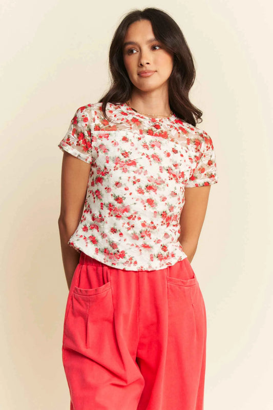 Davi & Dani Ribbon Short Sleeve Layered Mesh Top 5de4da7021cf4facbab5aa38ac36f160-Max-Origin