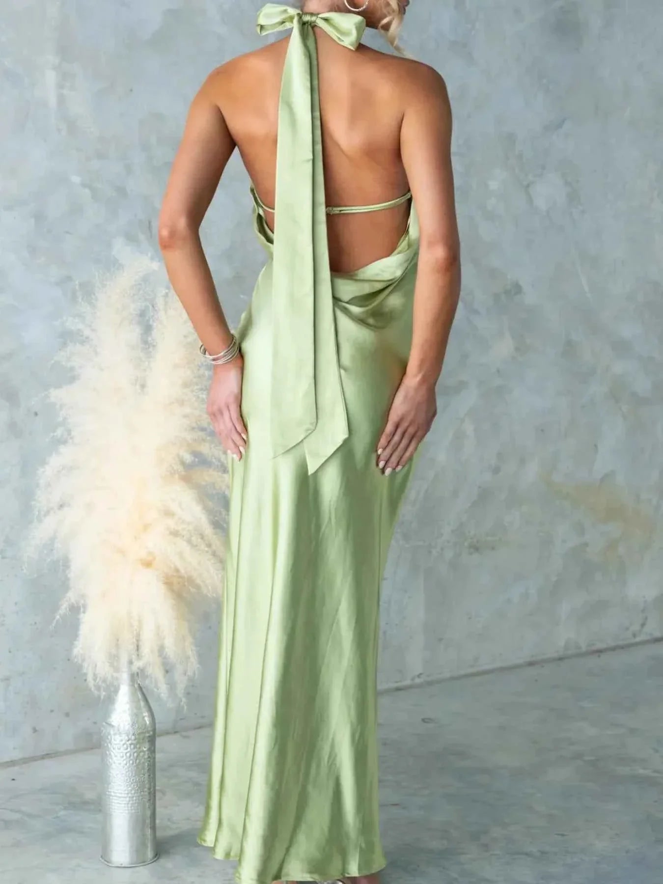 Backless Halter Neck Maxi Dress 5fdb9699-c1af-42b4-955d-d43d5fe2c9d6-Max-Origin