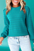 Sea Green Trendy Pattern Knit Ribbed Cuffs Crew Neck Sweater Sea Green 52%Viscose+26%Polyester+22%Polyamide 62e66c72aa0a3553