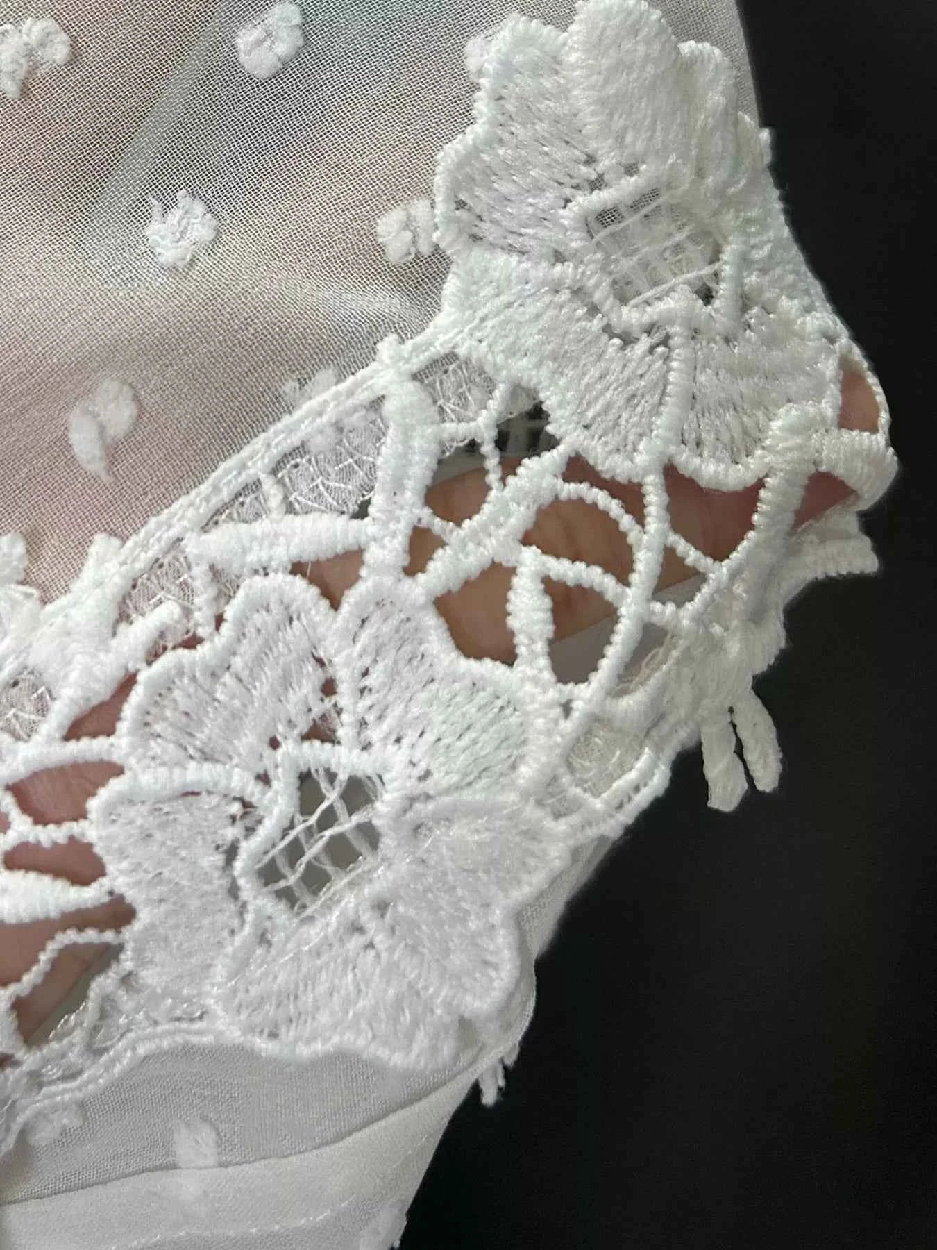 Lace Trimmed Swiss Dot Shirt 65a2e36c476b4351abd37241f418ede4-Max-Origin