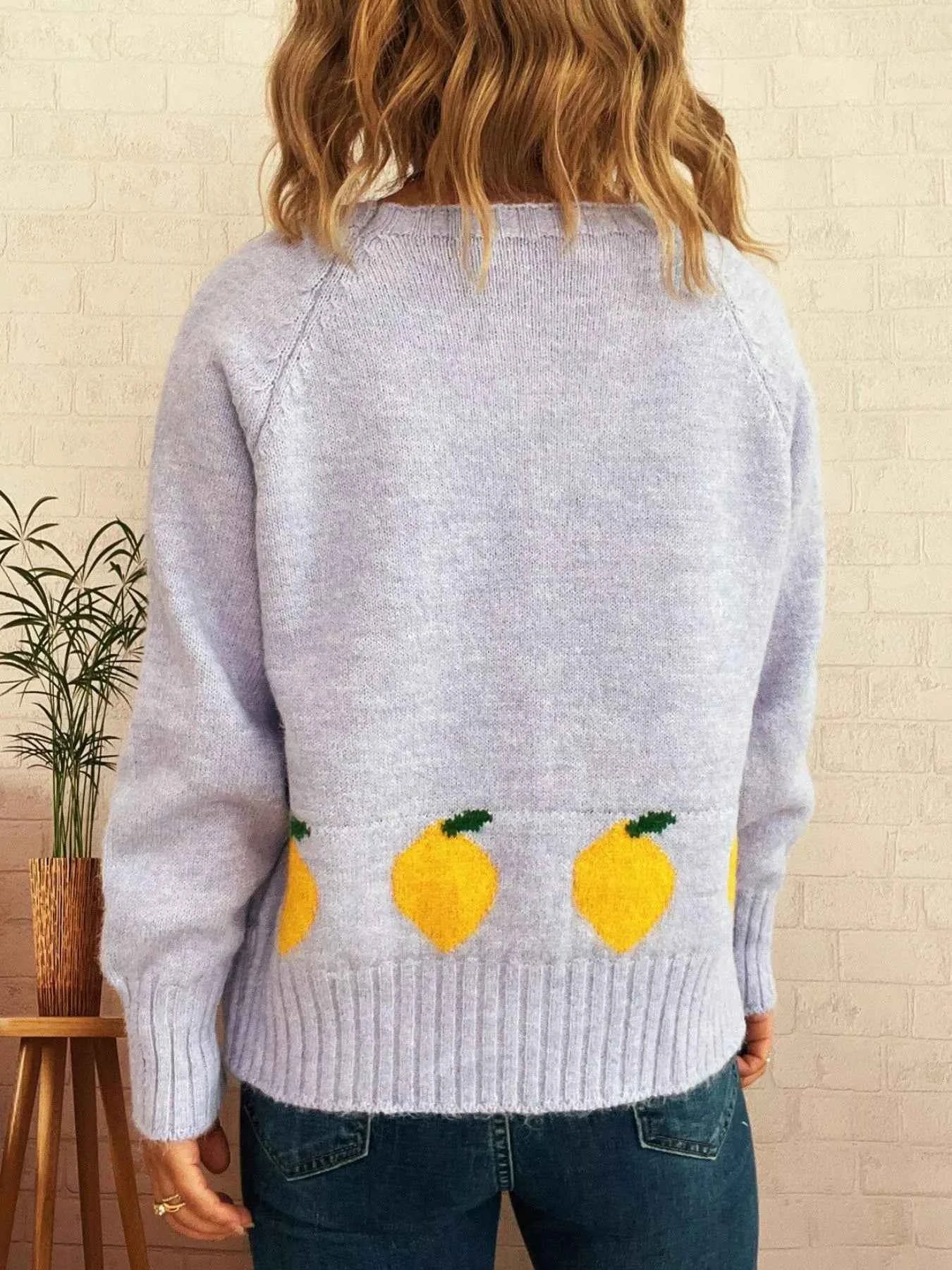 Lemon Pattern Button-Up Cardigan 6fa3d9d9-5e37-4347-aa4b-d6c3bca90ddb-Max-Origin