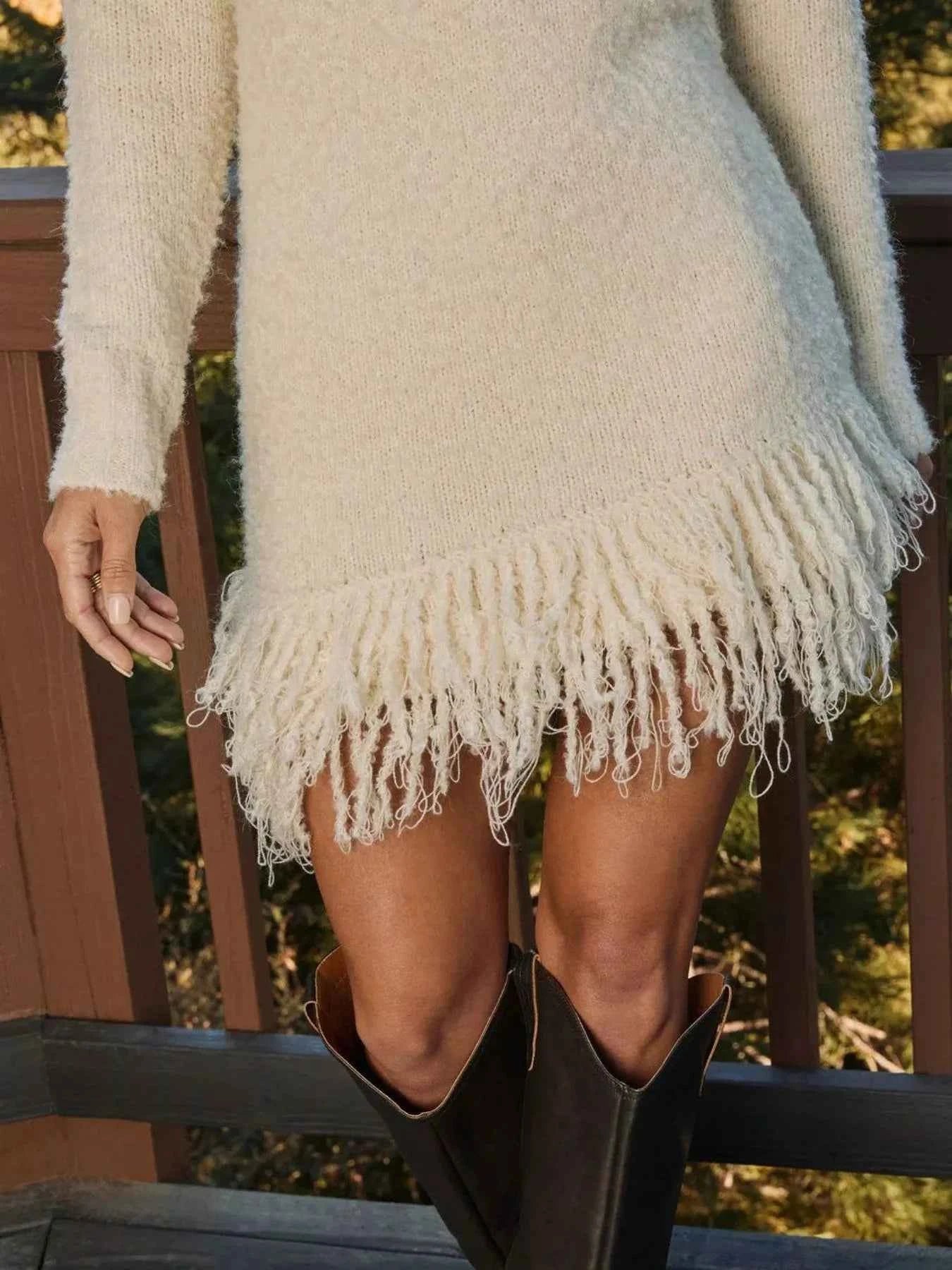 Fringe Turtleneck Long Sleeve Sweater Dress 742ad676-19b1-45f7-9672-17fa4b6bcf2b-Max-Origin