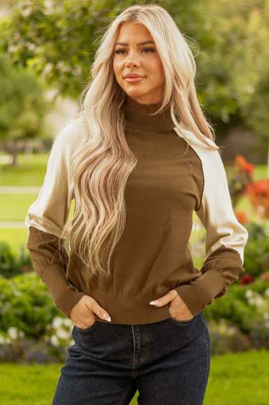 Colorblock Raglan Puff Sleeve Mock Neck Sweater 7f92fbab-b2e7-4f6a-8636-41dc3bea57cb