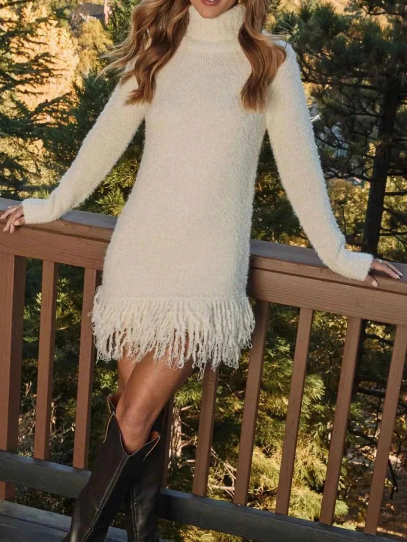 Fringe Turtleneck Long Sleeve Sweater Dress 842e18d1-2a85-4409-8352-28b3c3ab0569-Max-Origin