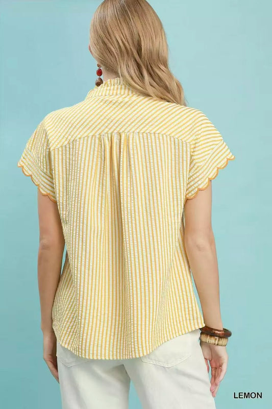 Embroidered Stripe Button Front Top 8fe818fe-cdfd-462e-ac47-ed7d89aa505f-Max-Origin