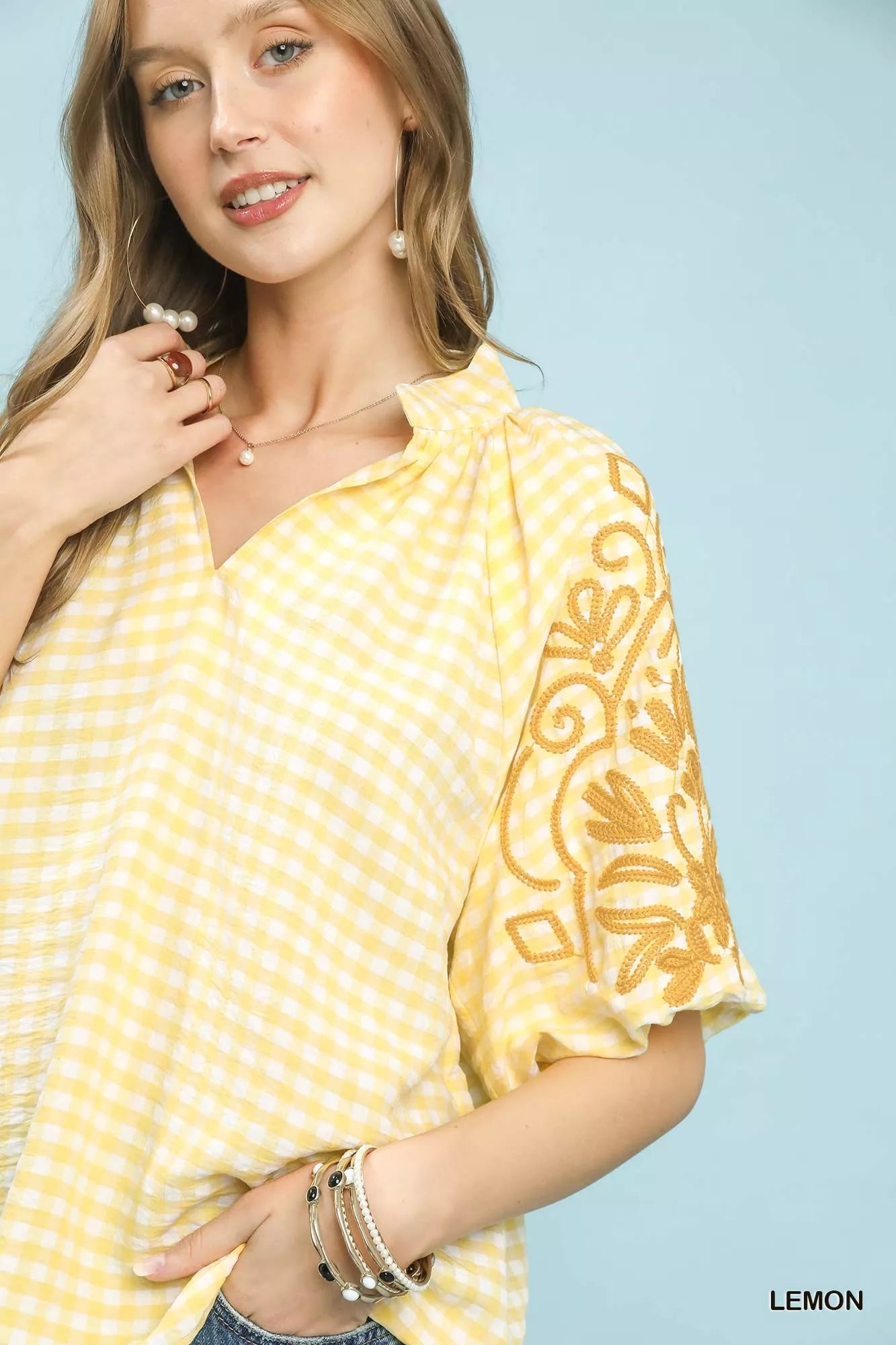 Umgee Gingham Embroidered Balloon Sleeve Top 93315d23-465c-4563-840f-2b007c686e70-Max-Origin