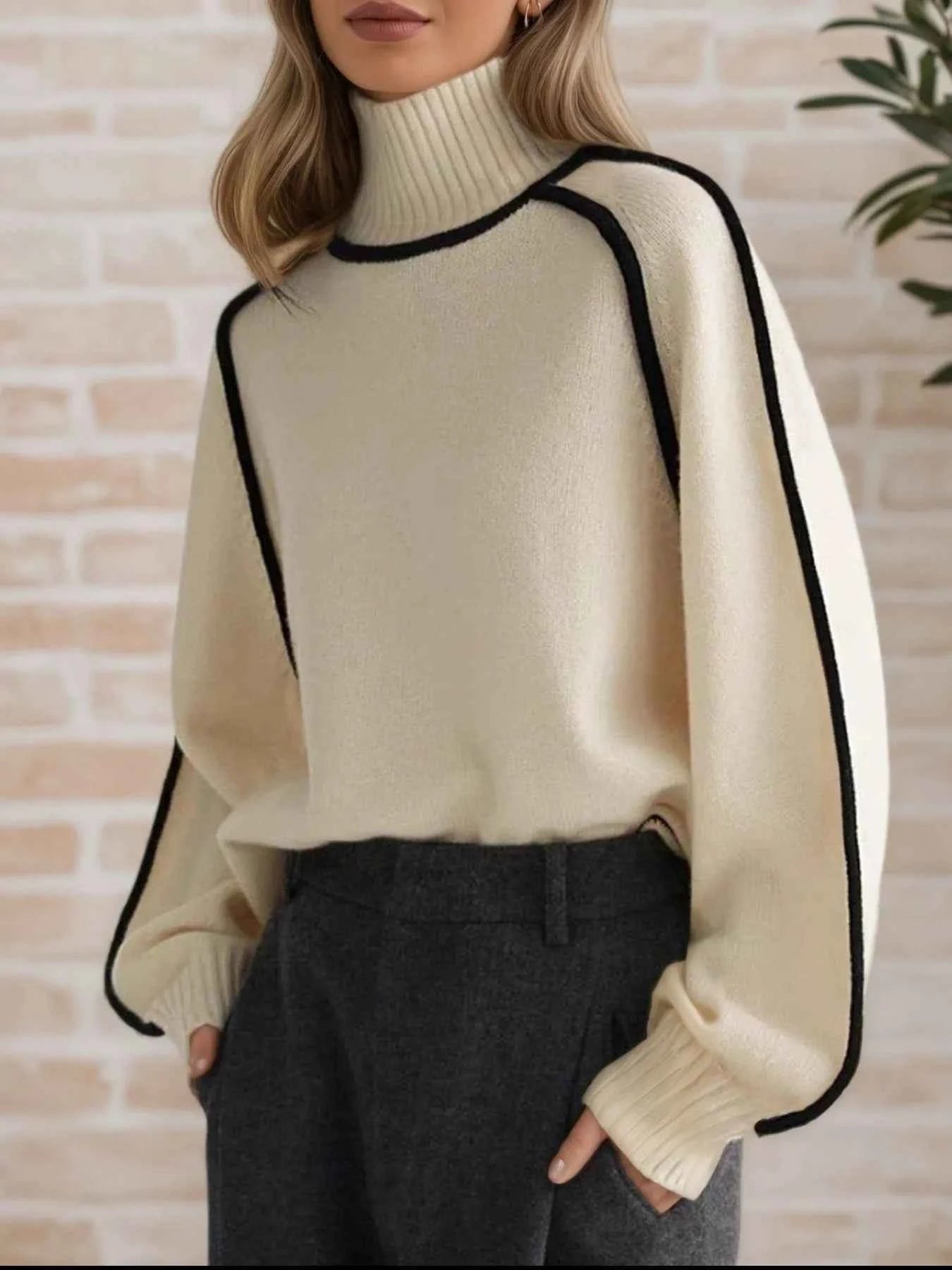 Contrast Trim Turtleneck Sweater 9ab9e796-825c-4aac-8436-623e3a0d37d4-Max-Origin
