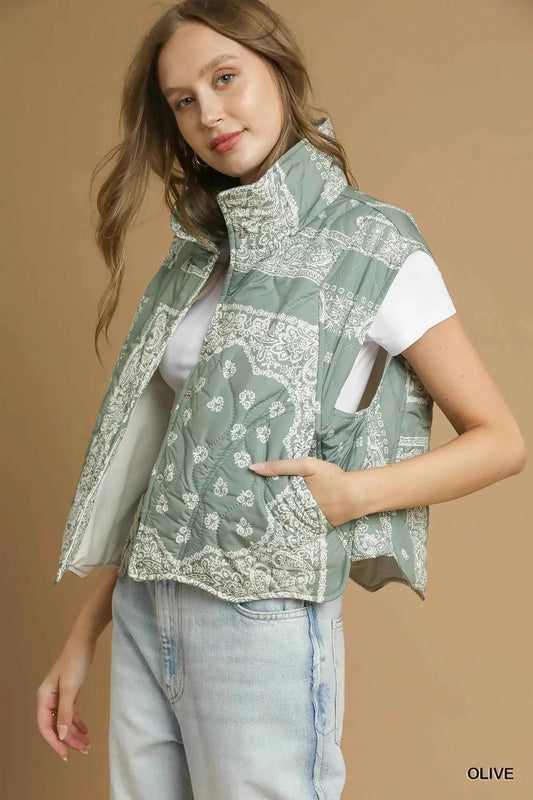 Bandana Print Quilted Puffer Vest 9b254802-d2a1-40ec-b247-1c4d37b198d8-Max-Origin