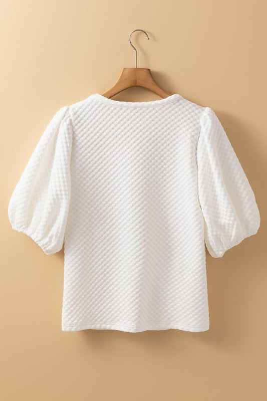 Solid Textured Round Neck Puff Sleeve Blouse 9ff94eb4-2e83-4b41-a9c4-5d92947b0434