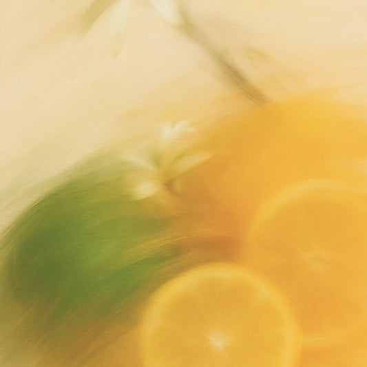 Scented Candle - Bergamot + Lemon BergamotLemon_Scented-Candle_Lifestlye_BLNK-LO-09-22-CA-HPC03_Compressed