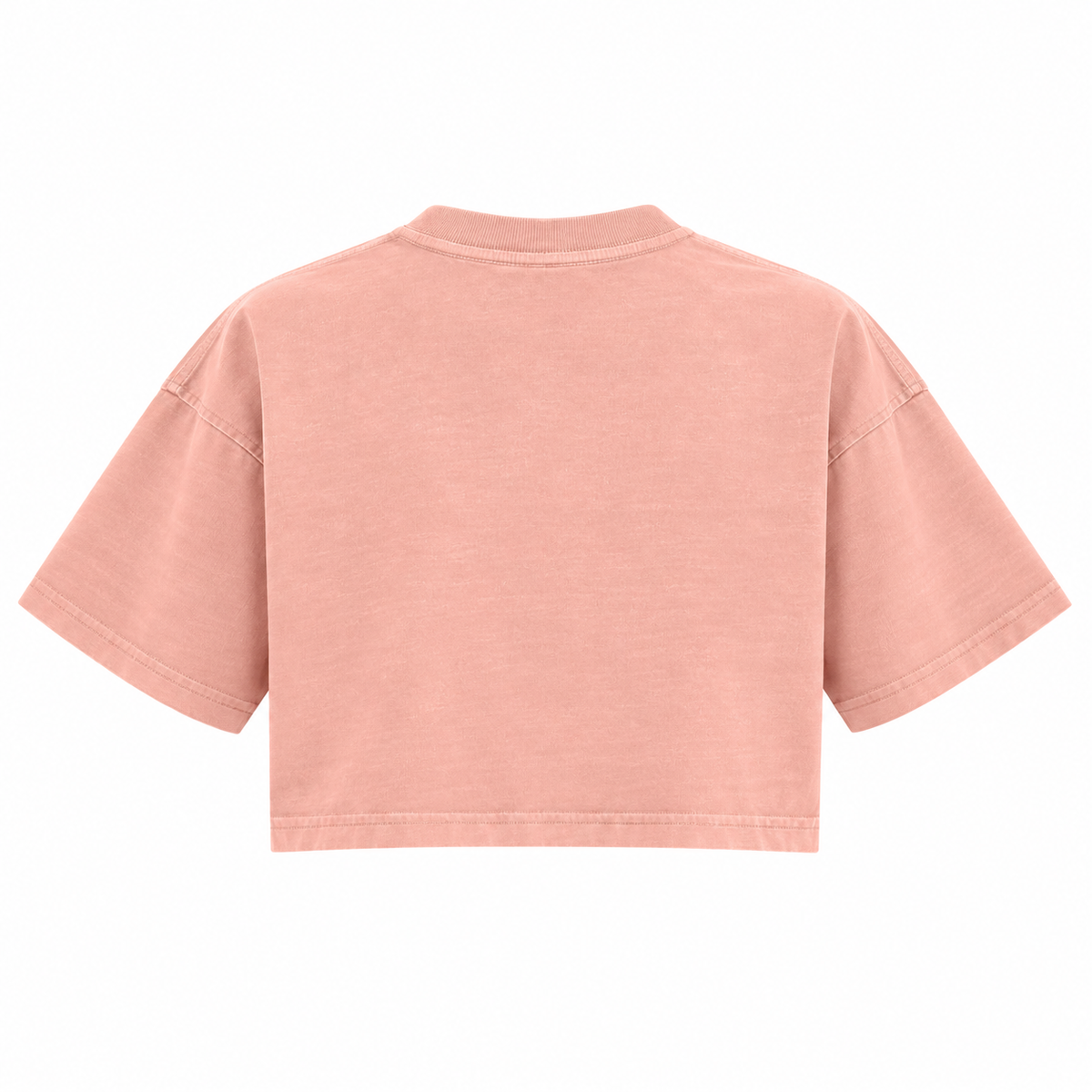 The Snow-Washed Cropped Shrimp Skin Cotton Tee DustyPinkCroppedBoxyT-ShirtBack