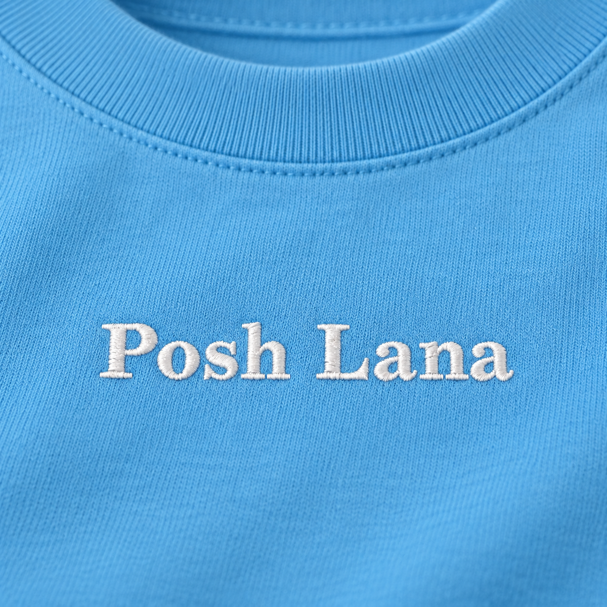 The Boxy Heavyweight Sky Blue Cotton Tee Sky Blue SkyBlueTeewithPoshLanaEmbroidery
