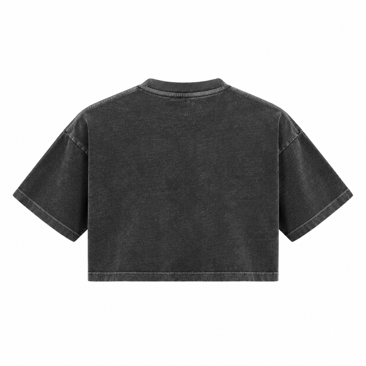 The Snow-Washed Cropped Classic Black Cotton Tee WashedBlackCroppedT-ShirtBack