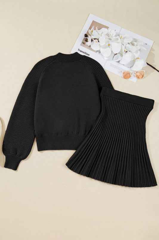 Solid High Neck Sweater and Pleated Mini Skirt Set a9d36fd7-45ce-4d4b-84e4-e7013a6a7a2a