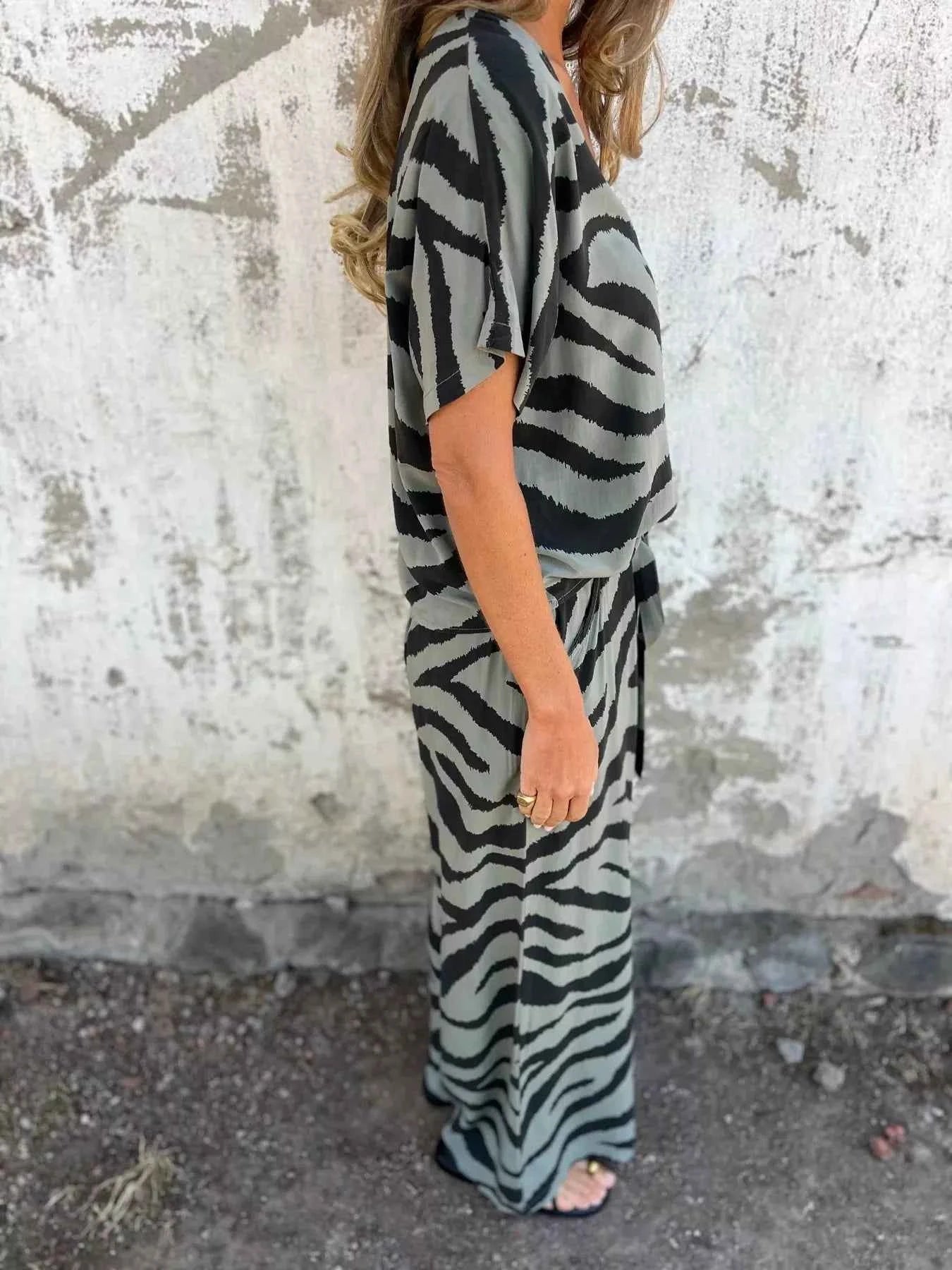 Zebra Print V-Neck Top and Pants Set aea8fcd5c5cb453780ccad1c37e6cb36-Max-Origin