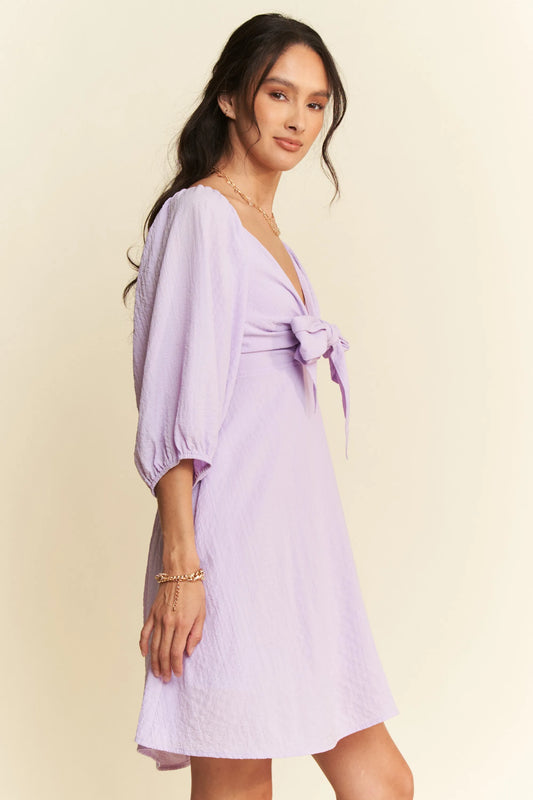 Self-Tie Puff Sleeve Smocking Open Back Mini Dress bb798132348a4c35932490480335968b-Max-Origin