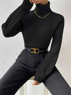 Ribbed Knit Turtleneck Sweater bb824d0ce6ae4a9e9e53068ec794e618-Max-Origin