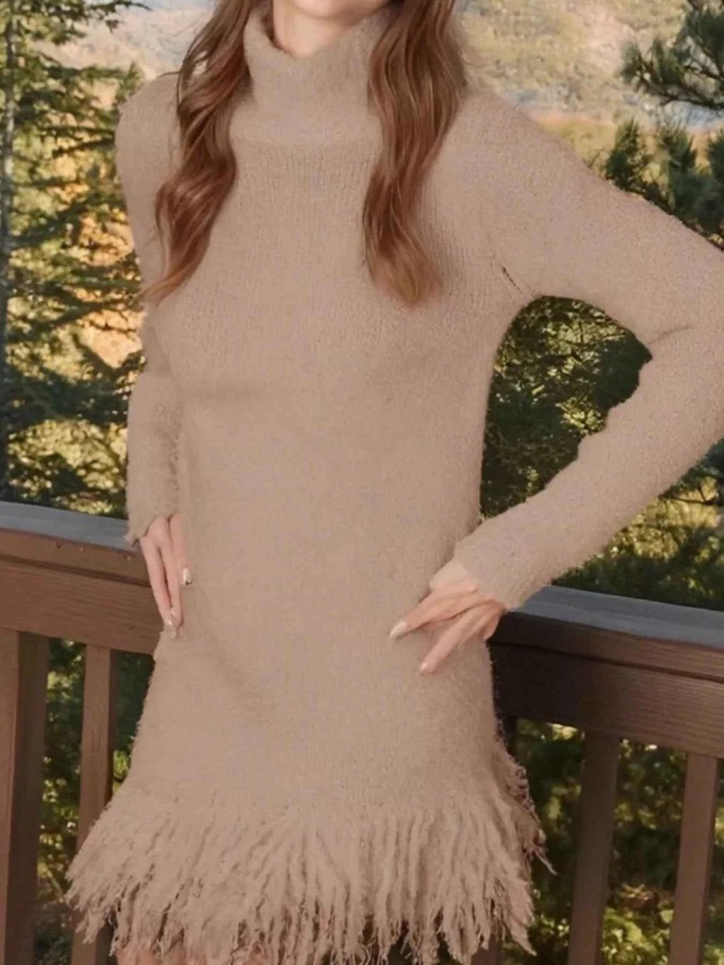 Fringe Turtleneck Long Sleeve Sweater Dress c25d22c9-eeed-426c-a157-7b59a2c96f6f-Max-Origin