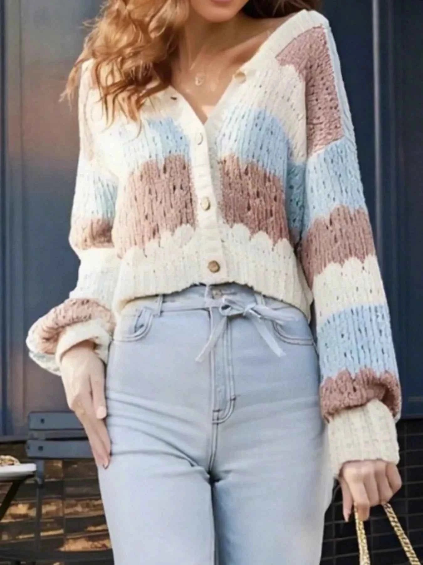 Color Block Button Up Cardigan c5bf7bc9-74cd-4169-8e9d-33ce77d6aed1-Max-Origin