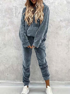 Velvet Long Sleeve Hoodie and Pants Set Gray cac7d49ba1ef4d6a809f1f5ccdf5202a-Max-Origin