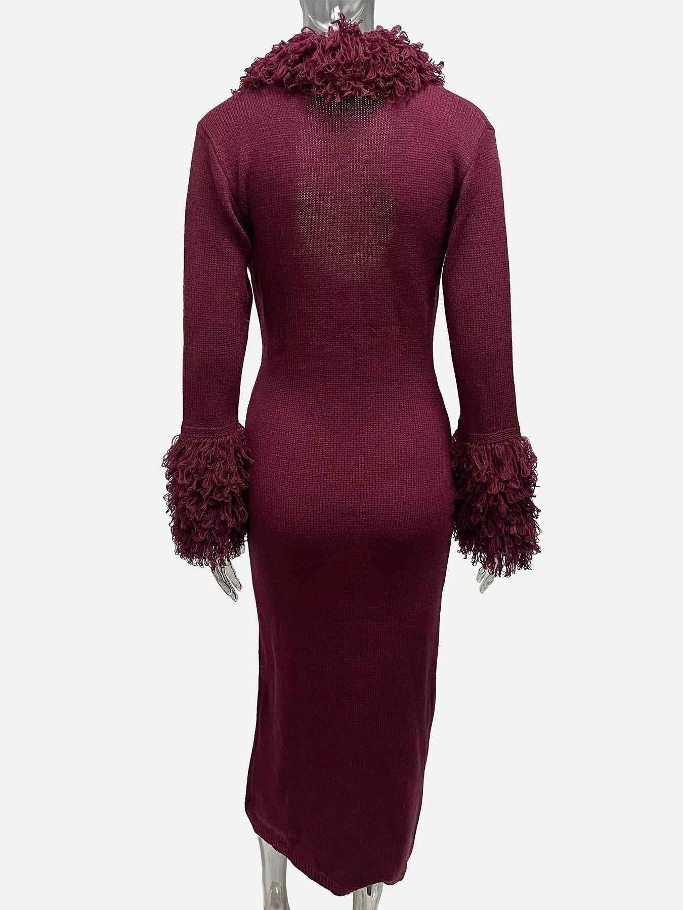 Fringe Trim Bodycon Sweater Dress ce867ae4-4948-4b99-83dc-84ddd3ceaae0-Max-Origin