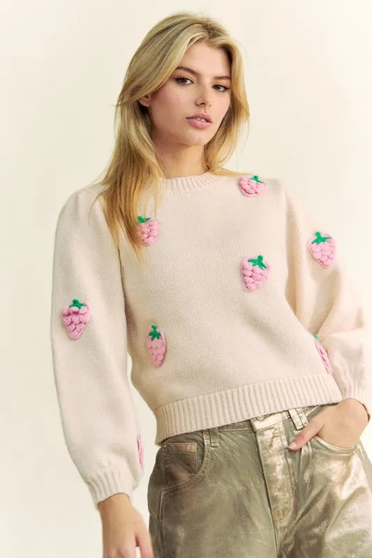 Davi & Dani Crochet Strawberry Round Neck Sweater cfc4d12c-ab2e-4cf8-a9a3-3a1b0918e55e-Max