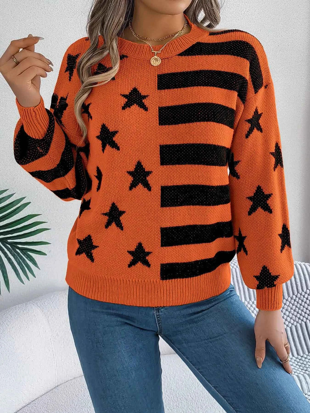 Stars and Stripes Pattern Casual Round Neck Sweater ddb6f93c7d50469982772c149ed20d34-Max-Origin
