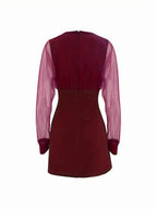 Glitter Mesh Long Sleeve Mini Dress e83895aa67234d519e02d2872831d87e-Max-Origin