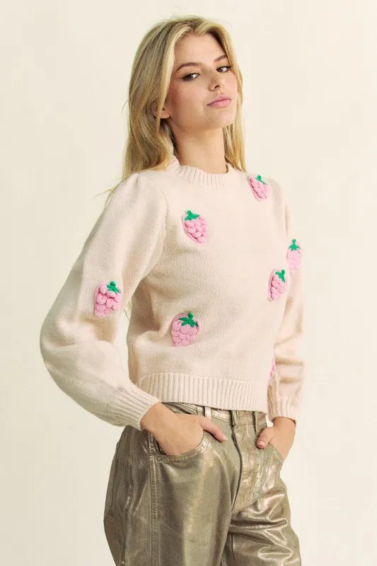 Davi & Dani Crochet Strawberry Round Neck Sweater e9e64fdd-39dd-4a9d-9ee4-27b0dcf6e528-Max