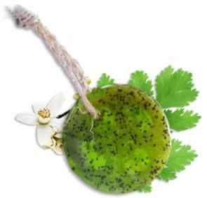 Speckless Soap Bar. Chia, Lemon, Parsley, and Coco ee4e3456-7a44-4366-a4c4-07b317d755d8