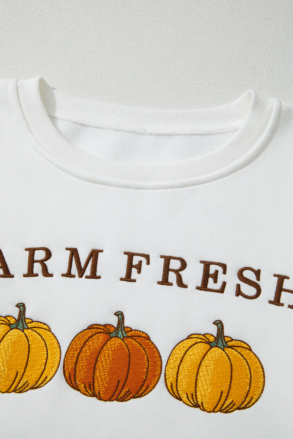 White FARM FRESH PUMPKINS Embroidered Festival Sweatshirt f93bbc9e544d57f3