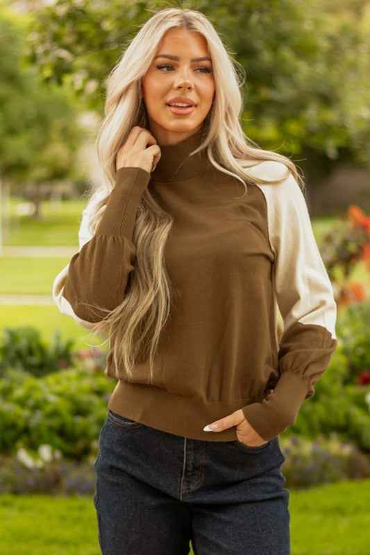 Colorblock Raglan Puff Sleeve Mock Neck Sweater fec20723-e8a3-4833-97e5-2b09b8196001